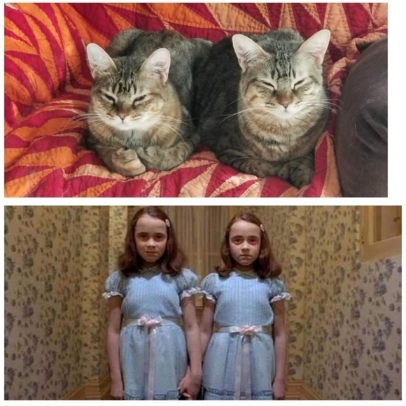 Meet your Posher, Carin - Picture 14 of 14